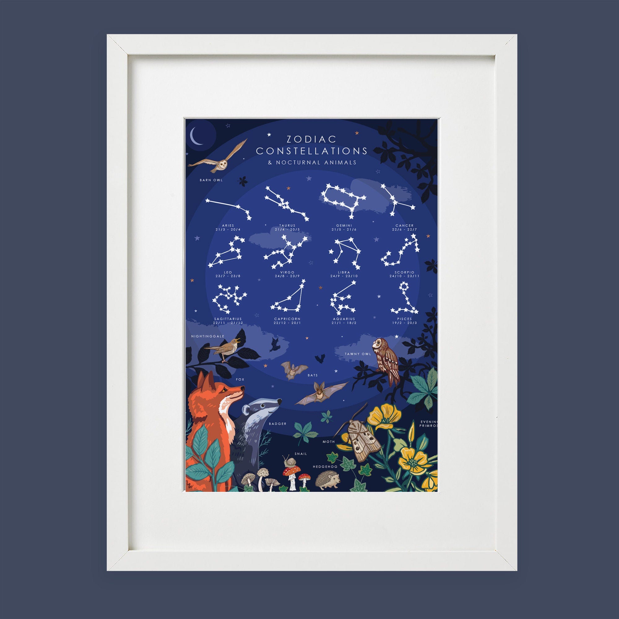 Zodiac Constellations Print and Nocturnal Animals Nature Guide Wall Art Print
