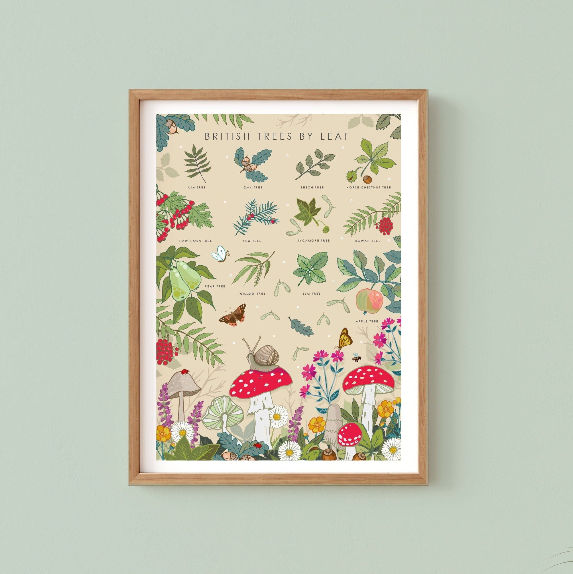 British Trees by Leaves Nature Guide Wall Art