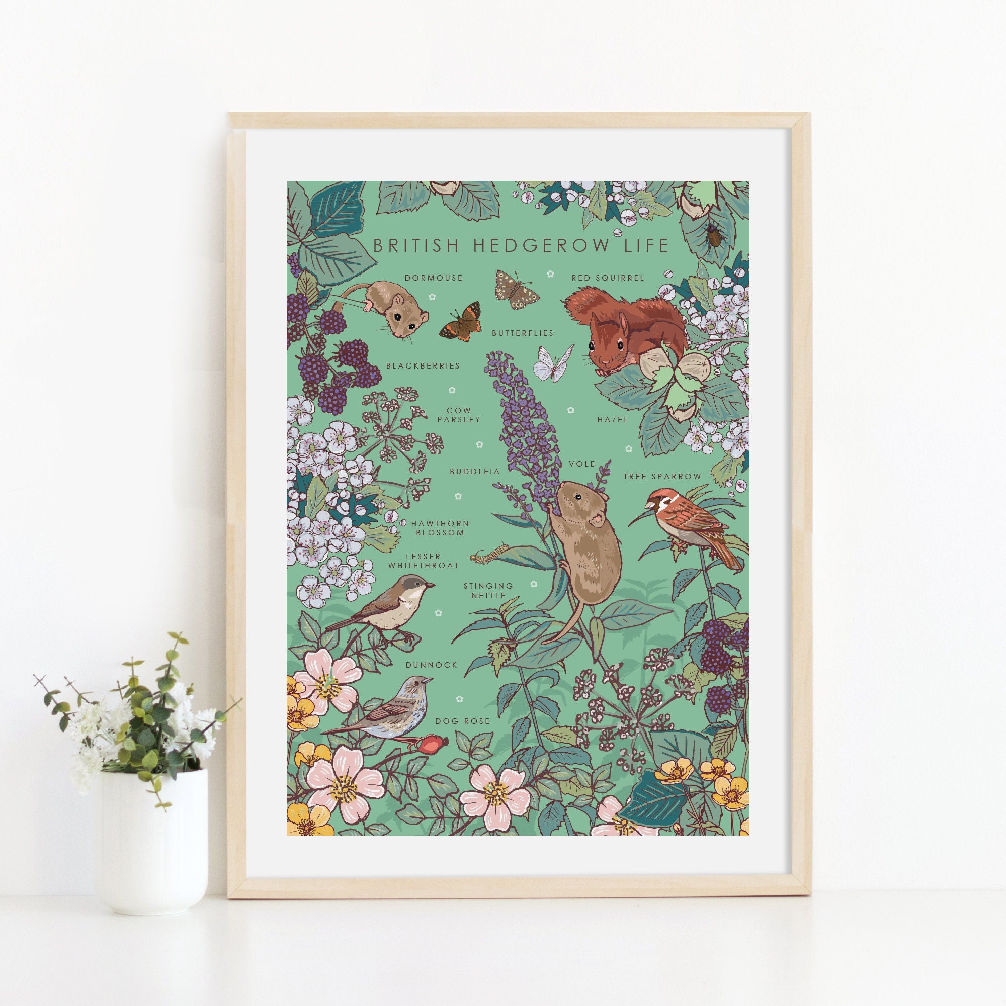British Hedgerow Life Nature Guide Wall Art Print