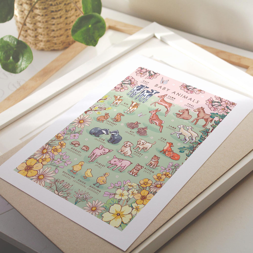 Baby Animals Nature Guide Wall Art Print