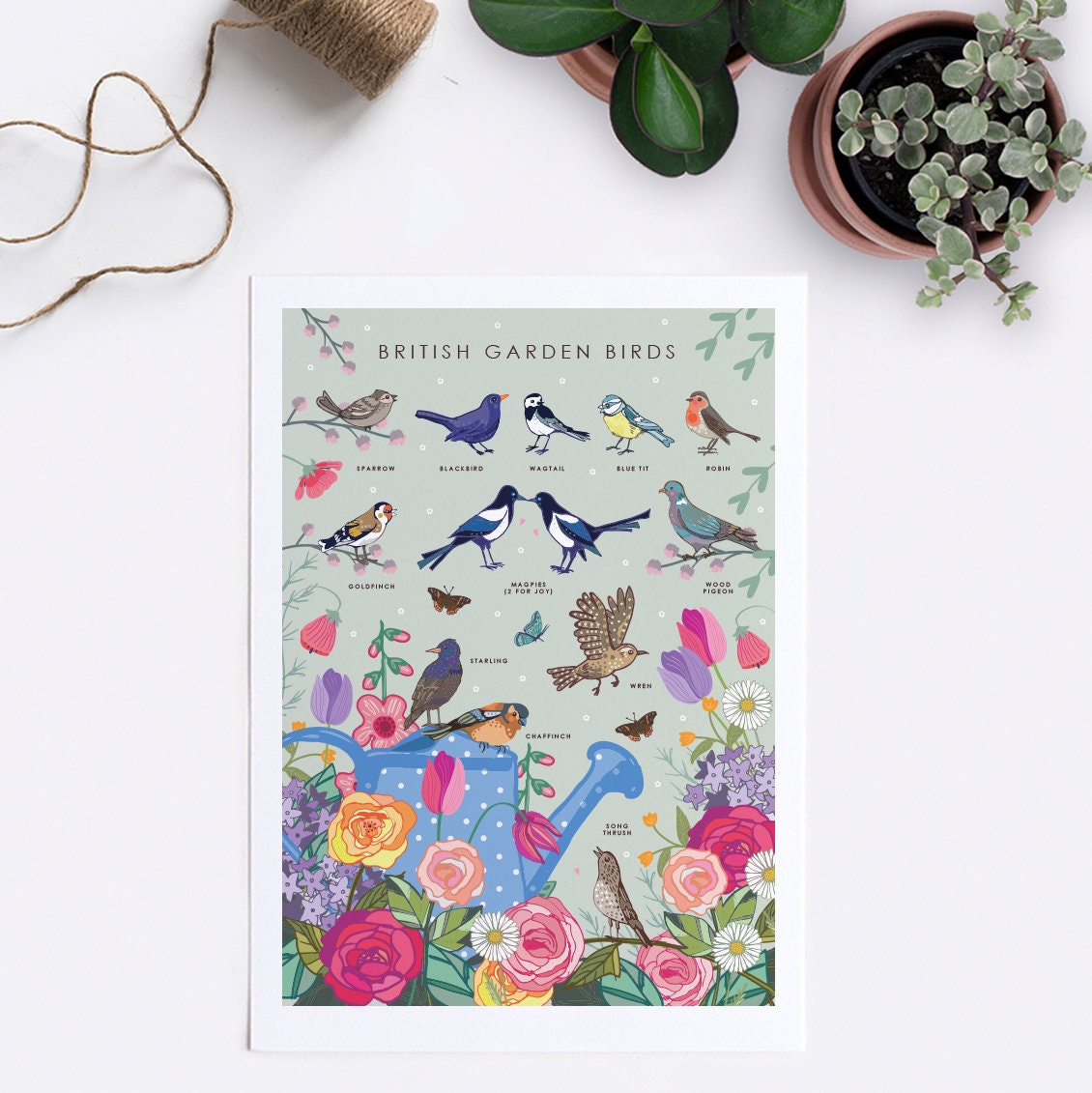 British Garden Birds Nature Guide Wall Art Print