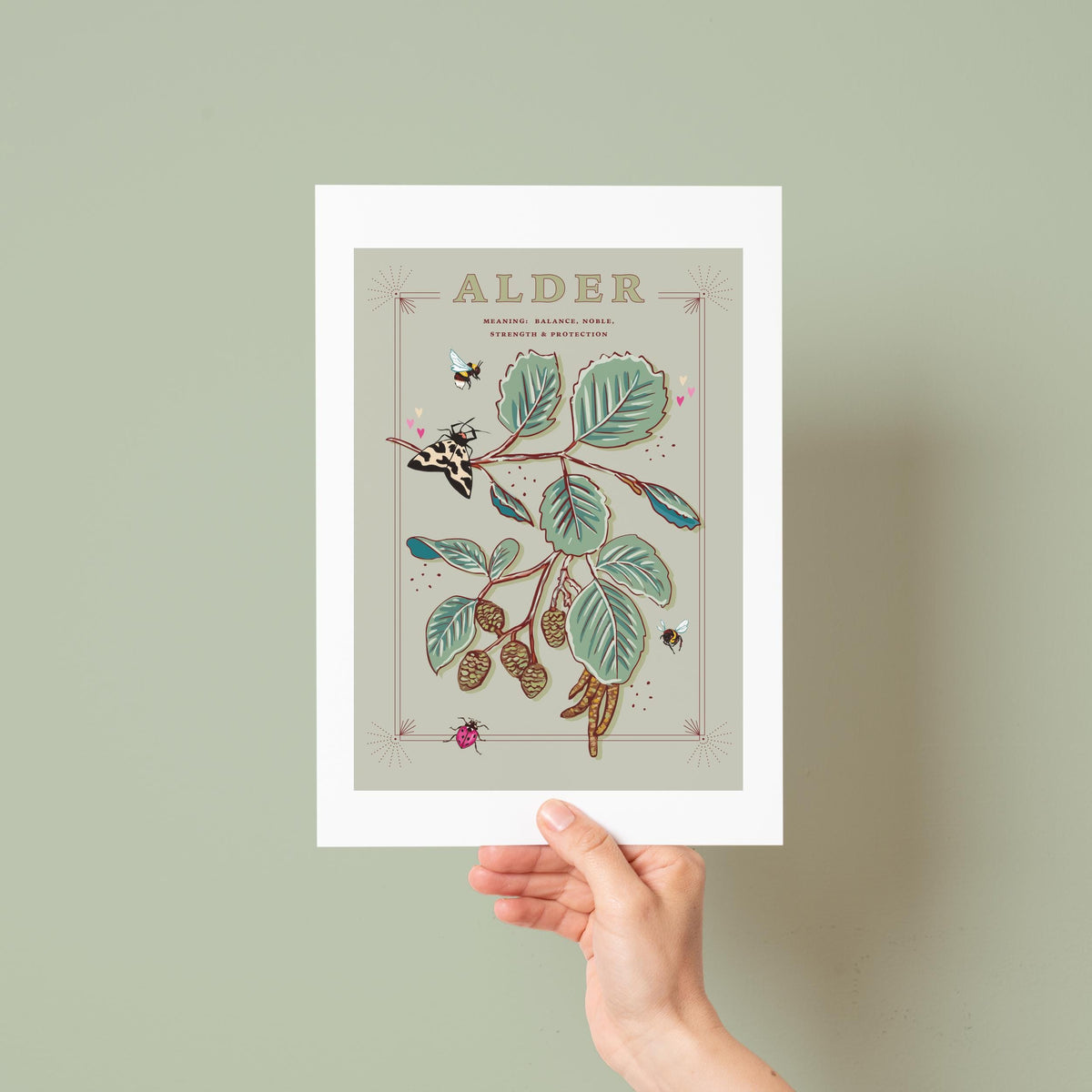 Alder Tree Wall Art Print
