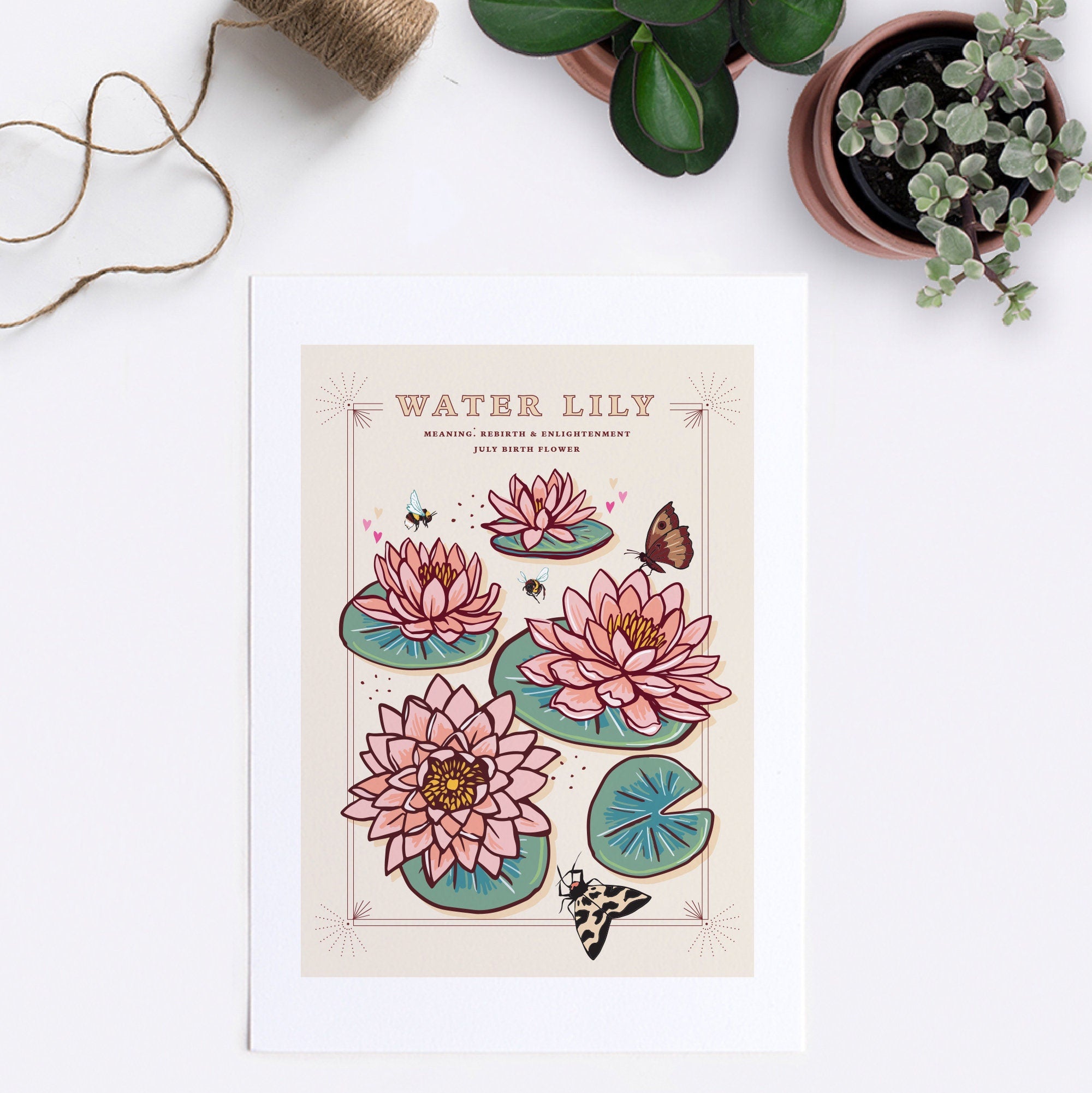 Water Lily July Birth Flower Wall Art Print