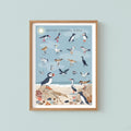 British Coastal Birds Art Print