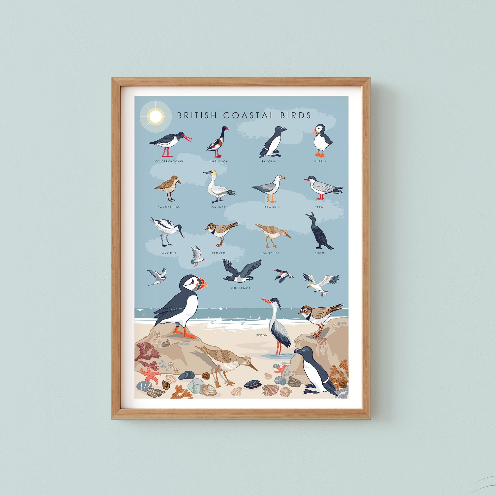 British Coastal Birds Art Print