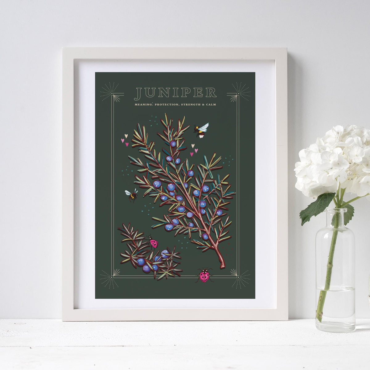 Juniper Wall Art Print, Plant Meaning Illustration Print