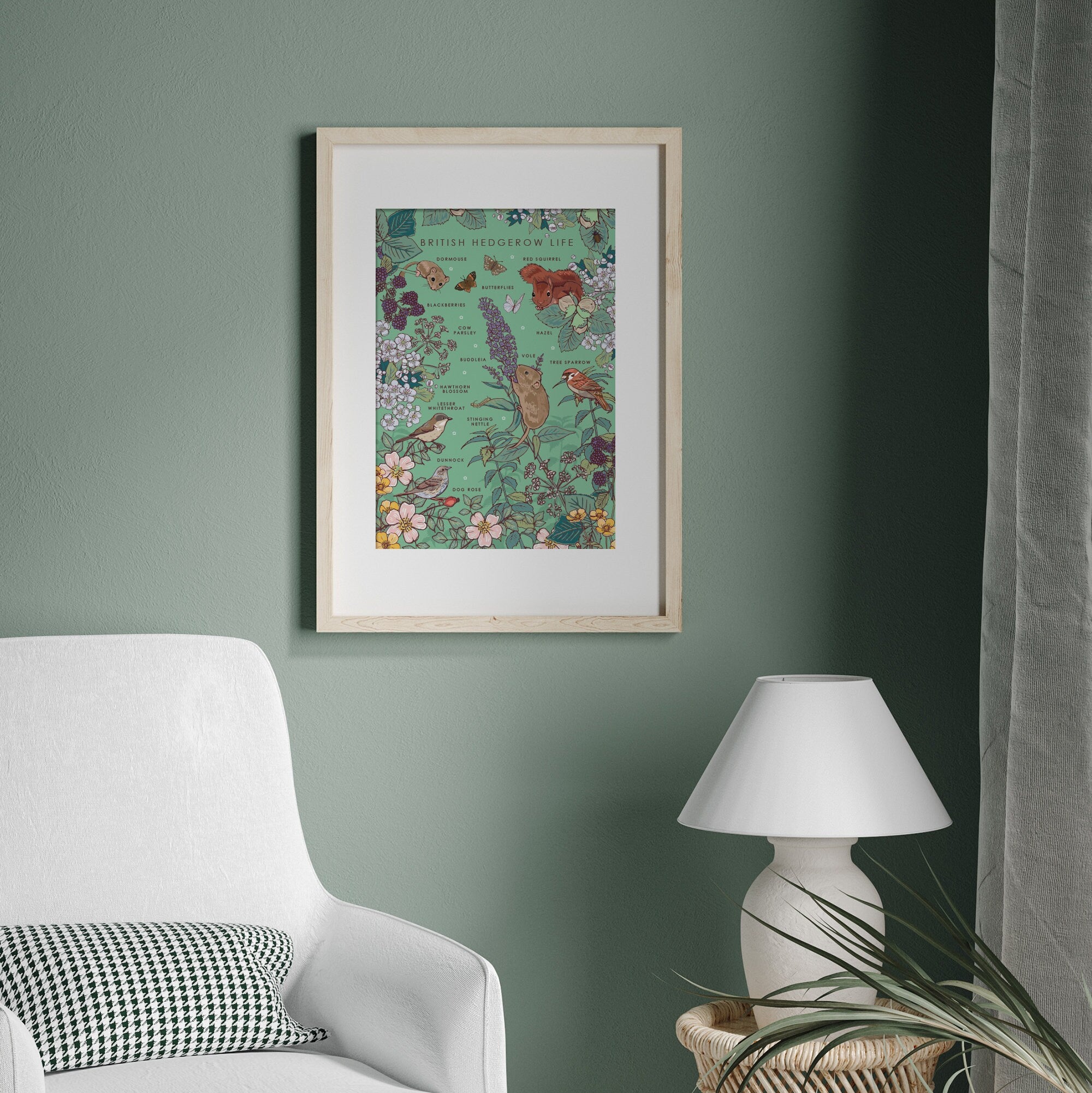 British Hedgerow Life Nature Guide Wall Art Print