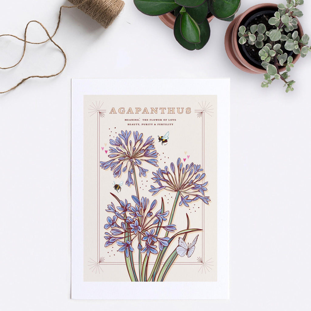 Agapanthus Wall Art Print, Flower Meaning Illustration Print