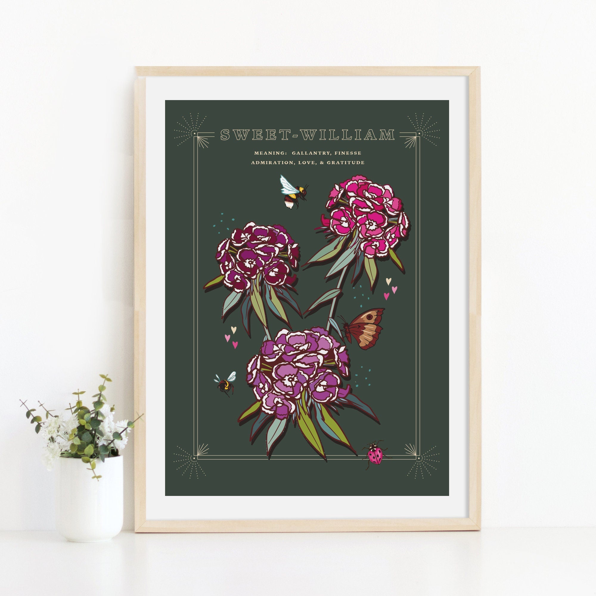 Sweet William Wall Art Print, Flower Meaning Illustration Print