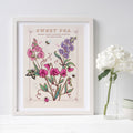 Sweet Pea April Birth Flower Wall Art Print