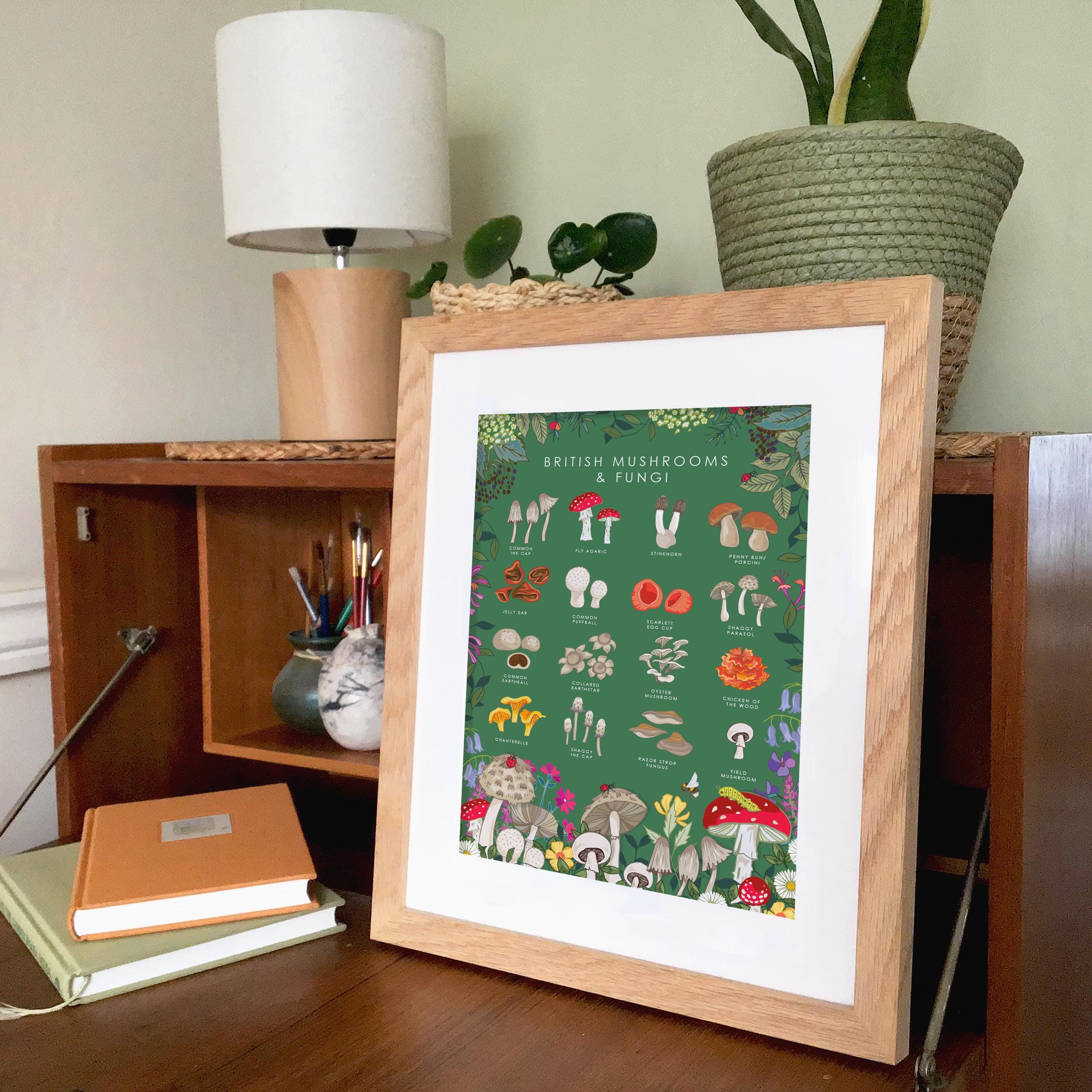British Mushrooms and Fungi Nature Guide Wall Art Print