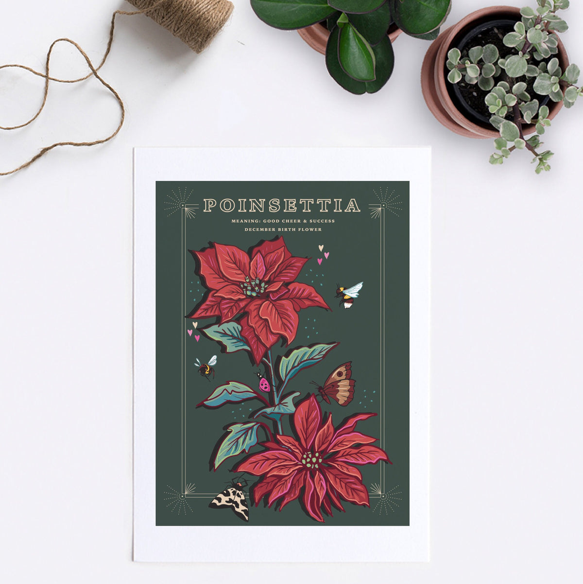 Poinsettia Wall Art Print, December Flower Illustration Print