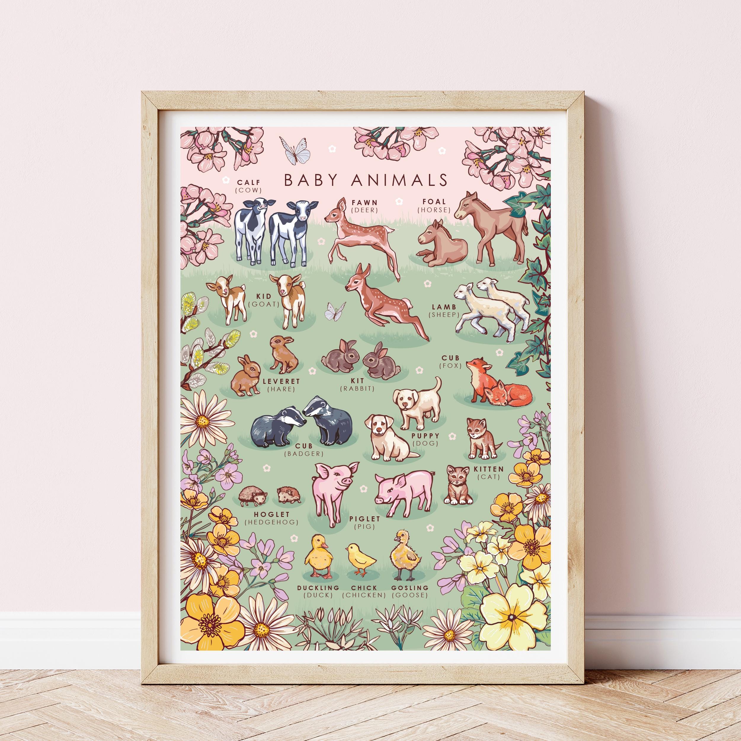 Baby Animals Nature Guide Wall Art Print