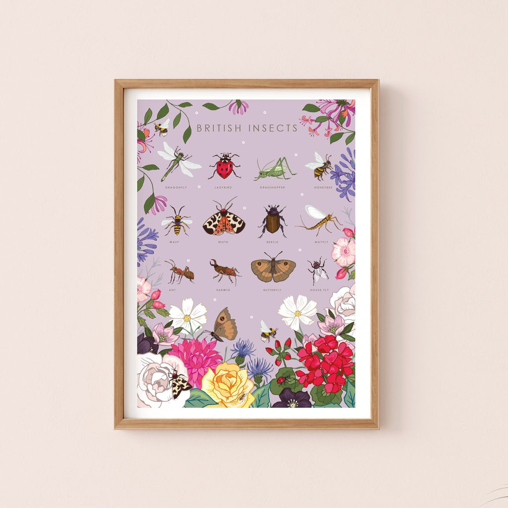 British Insects Nature Guide Wall Art Print
