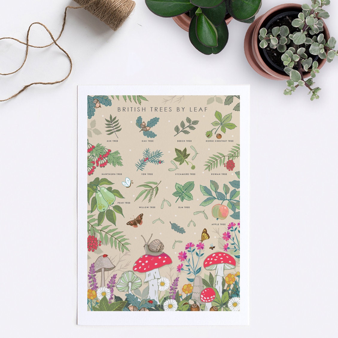 British Trees by Leaves Nature Guide Wall Art