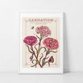 Carnations January Birth Flower Wall Art Print