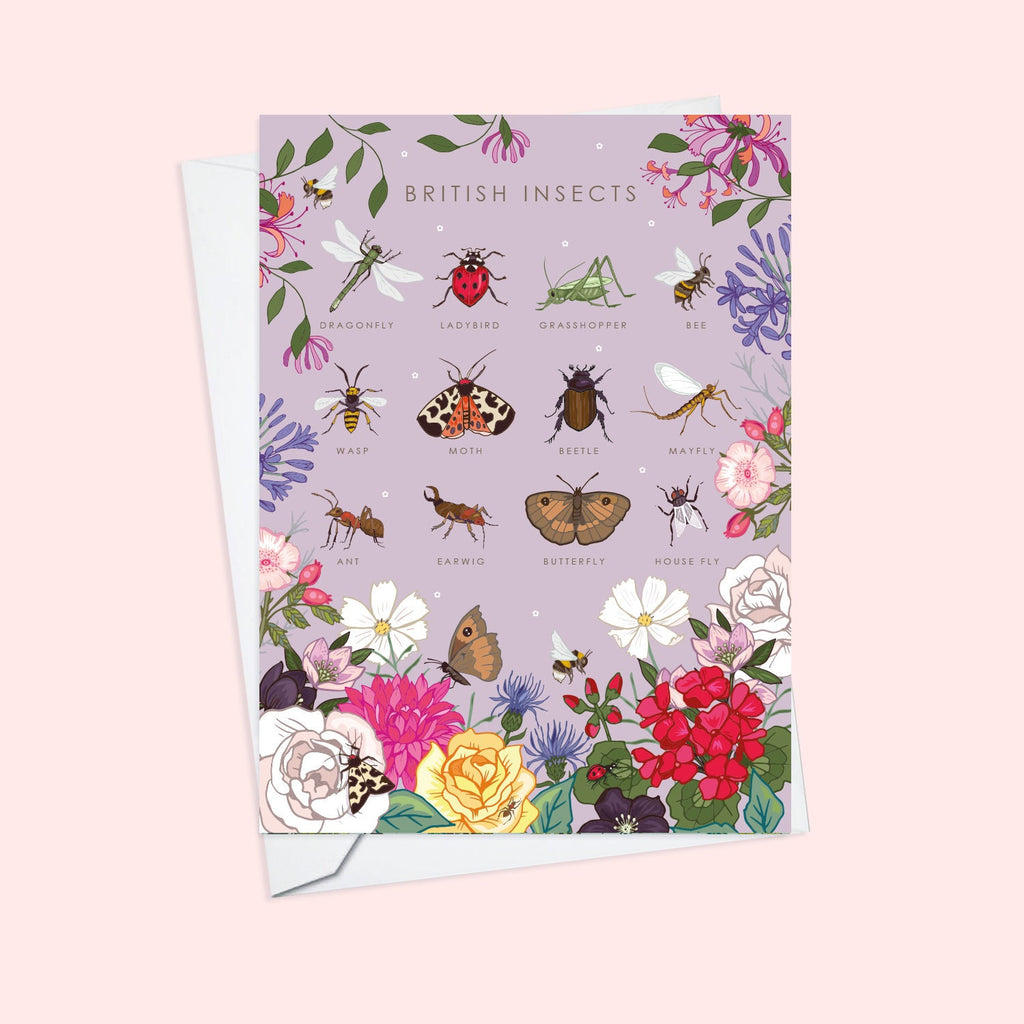 Set of 4 British Nature Guide Cards,  Bees, Insects, Fungi, Bats