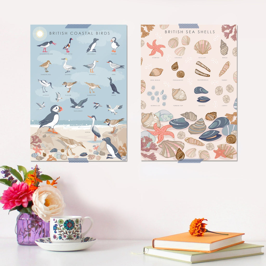 British Coastal Birds Art Print