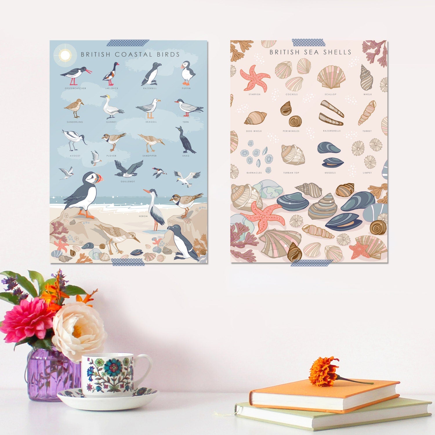 British Coastal Birds Art Print