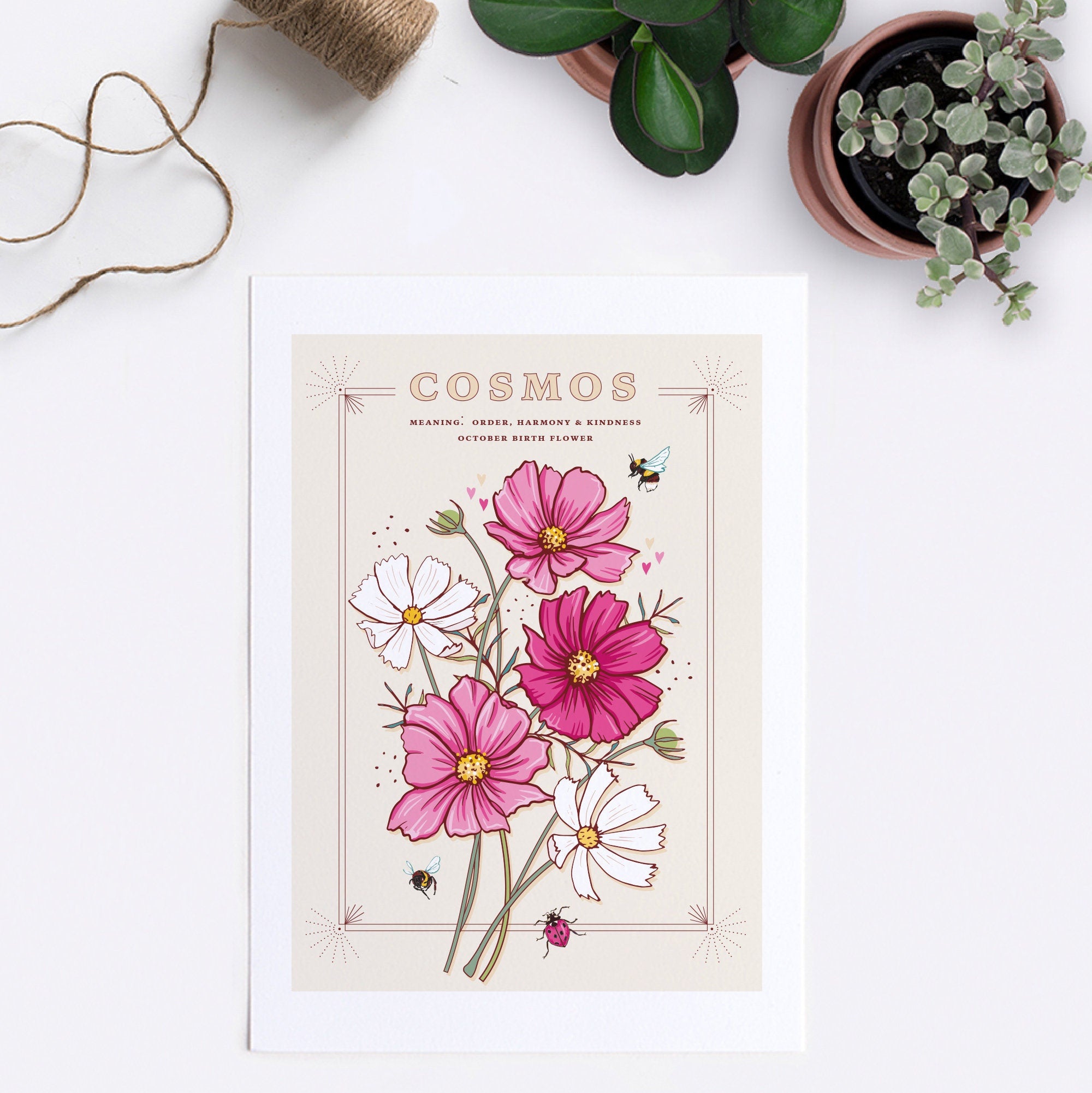 Cosmos October Birth Flower Wall Art Print