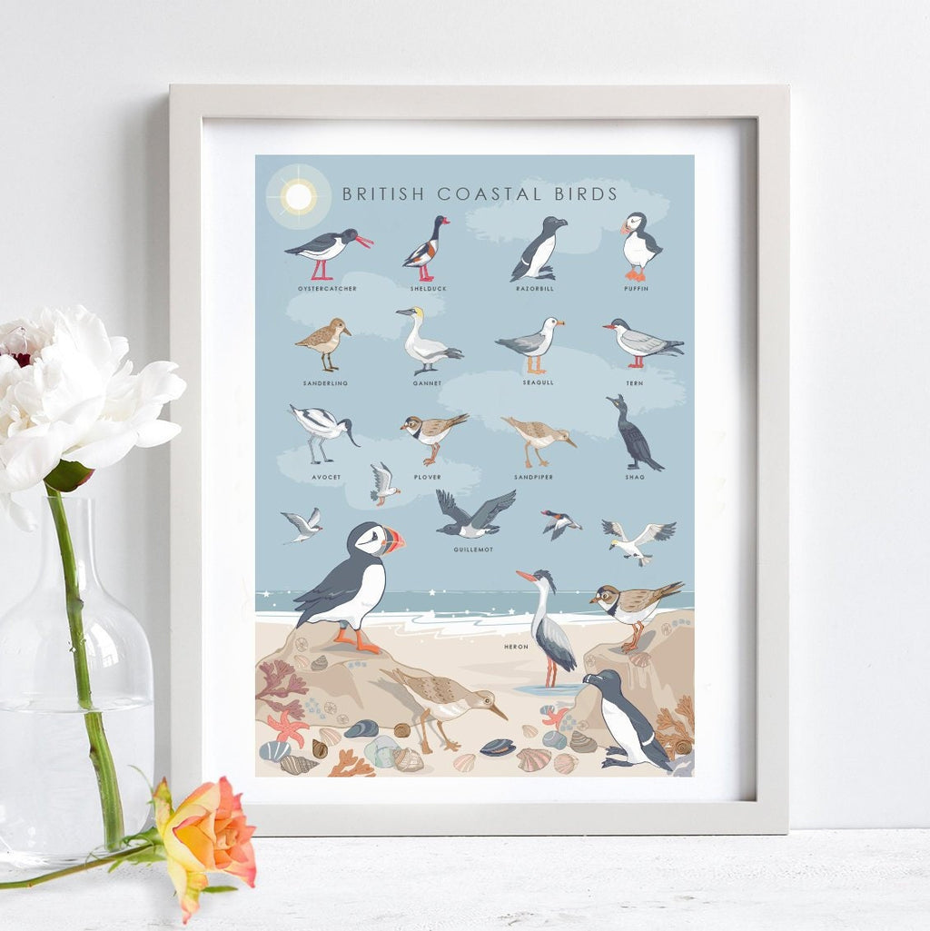 British Coastal Birds Art Print