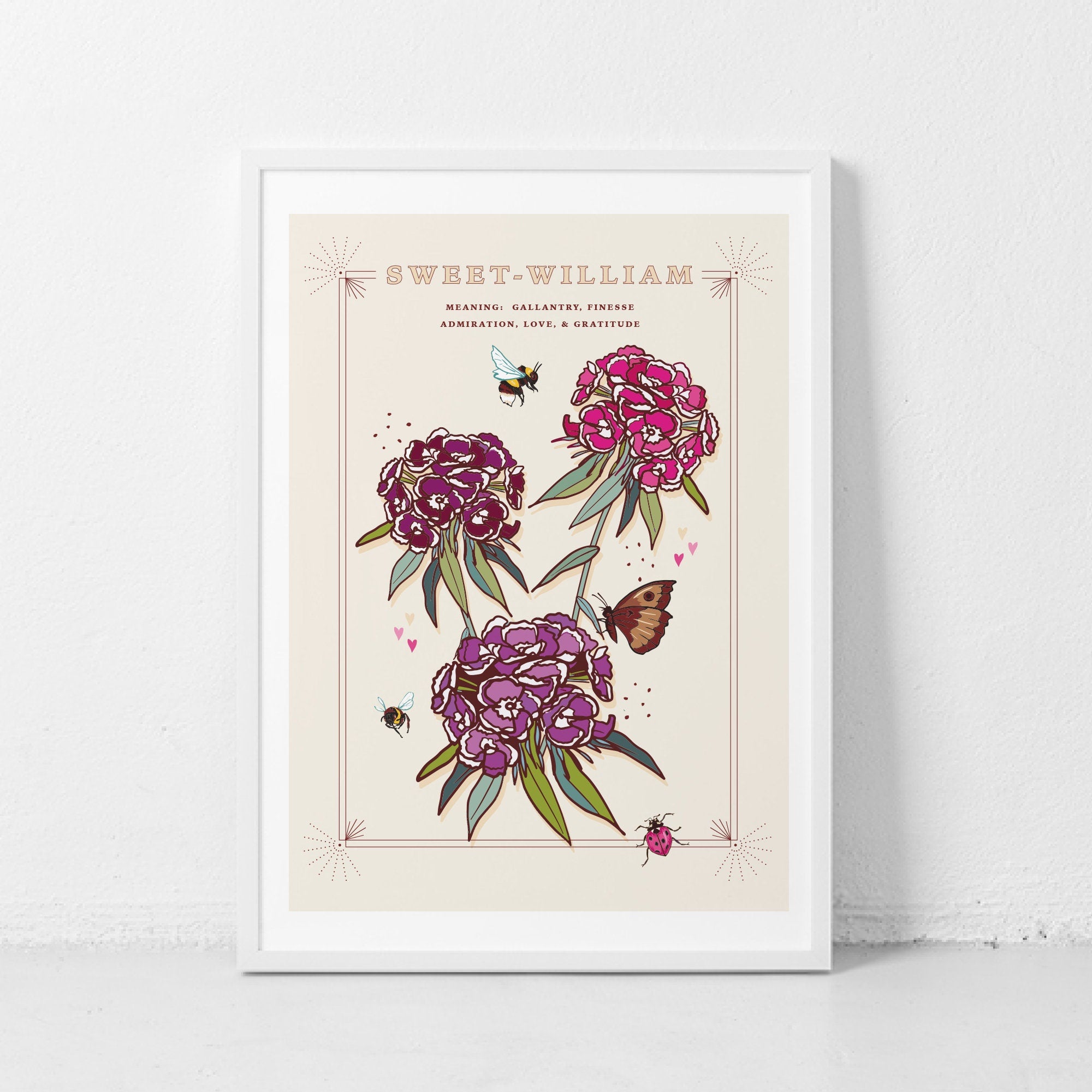 Sweet William Wall Art Print, Flower Meaning Illustration Print