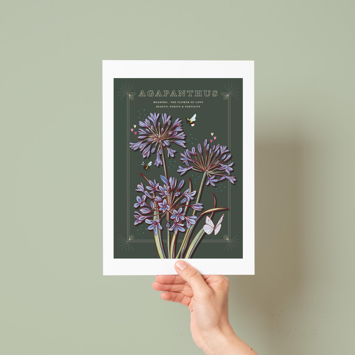 Agapanthus Wall Art Print, Flower Meaning Illustration Print