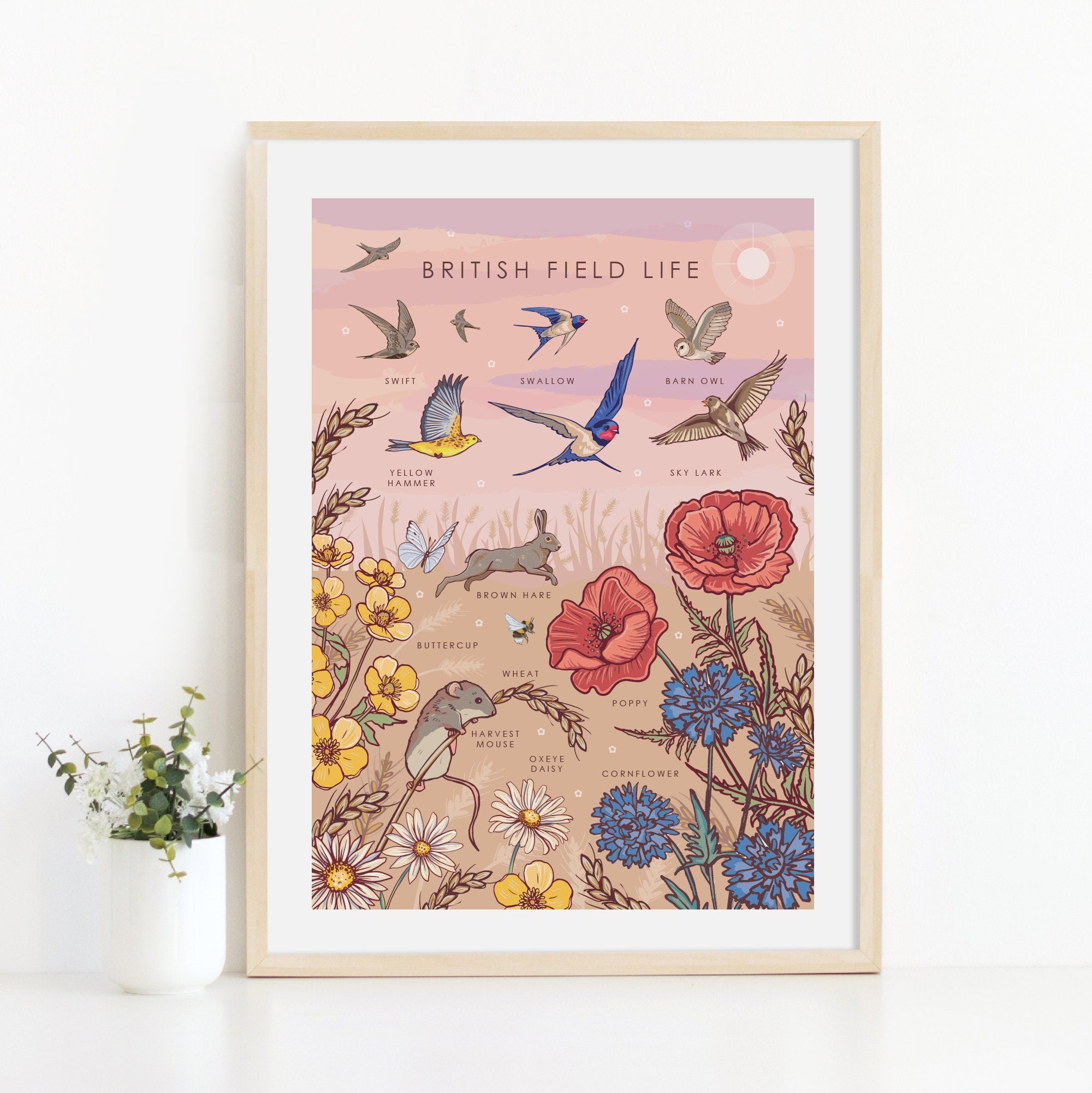 British Field Life Nature Guide Wall Art Print