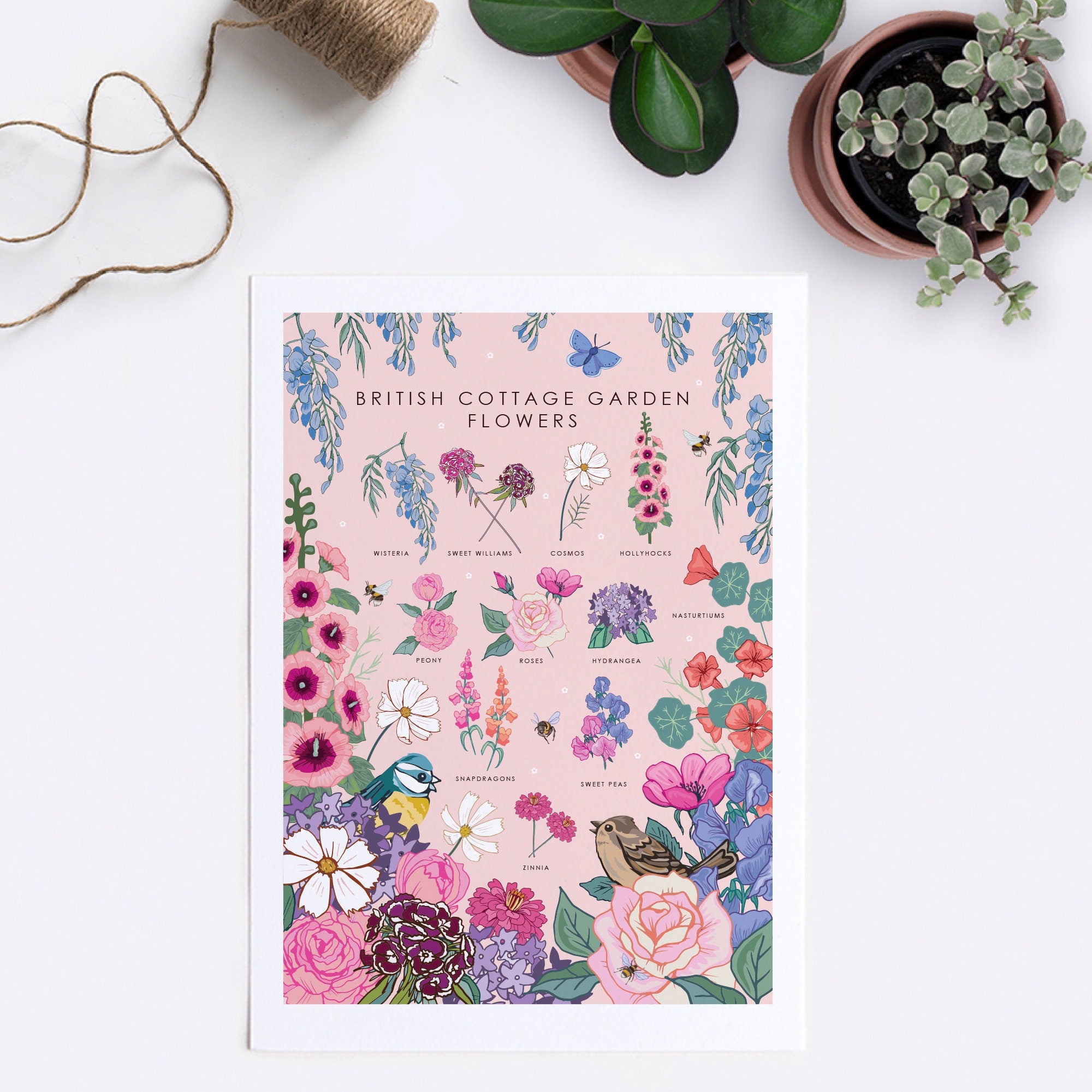 British Cottage Garden Flowers Nature Guide Wall Art Print