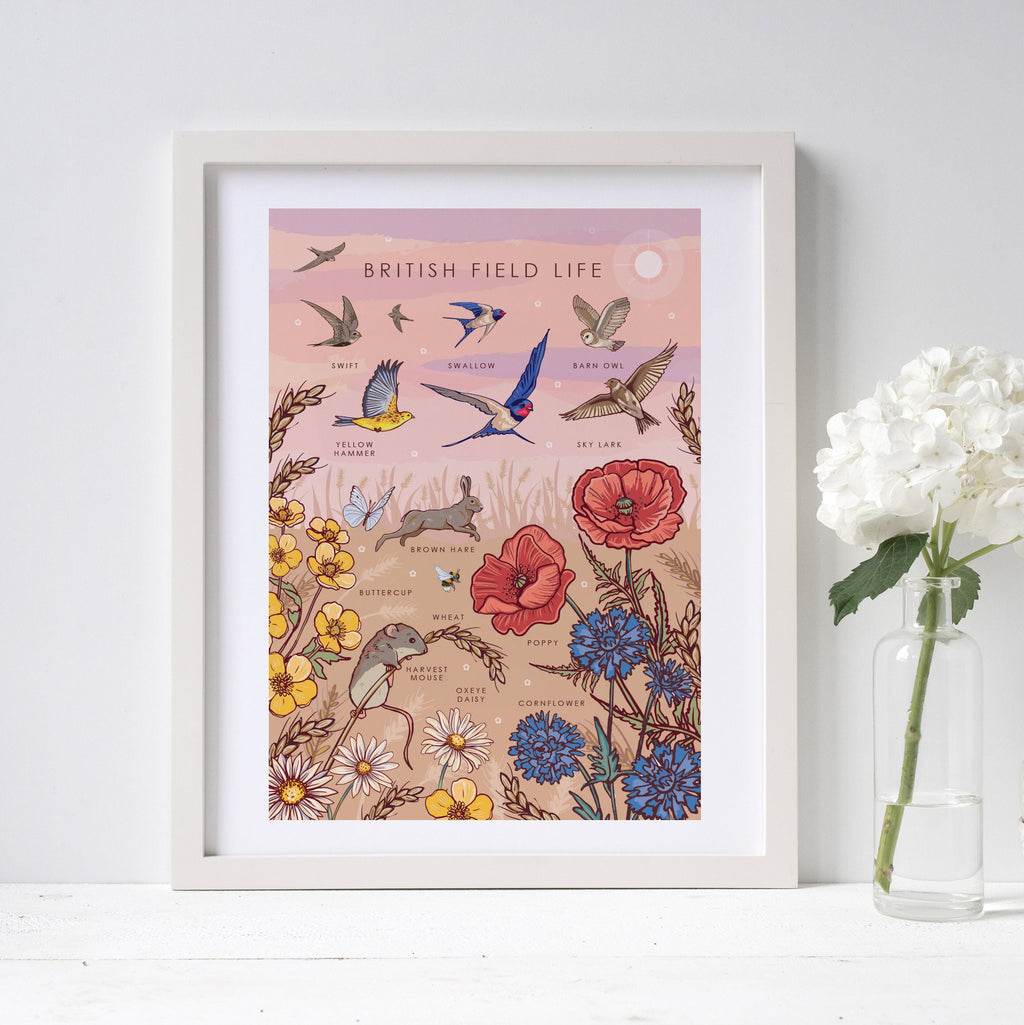 British Field Life Nature Guide Wall Art Print