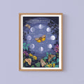 Moon Phases and Nocturnal Moths Nature Guide Print