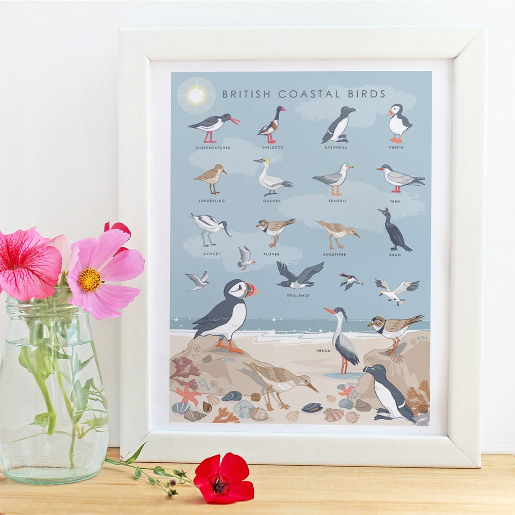 British Coastal Birds Art Print