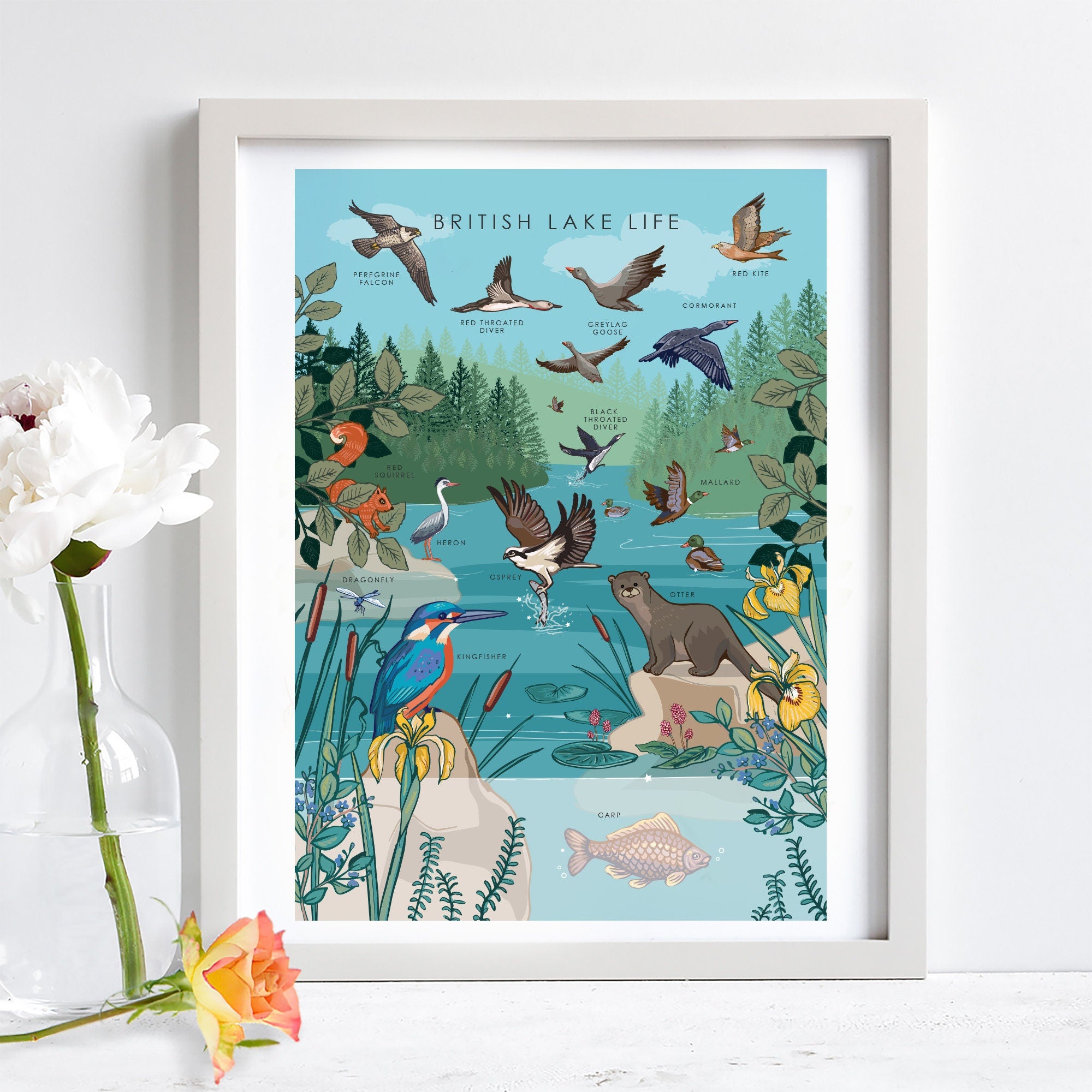 British Lake Wildlife Nature Guide Wall Art