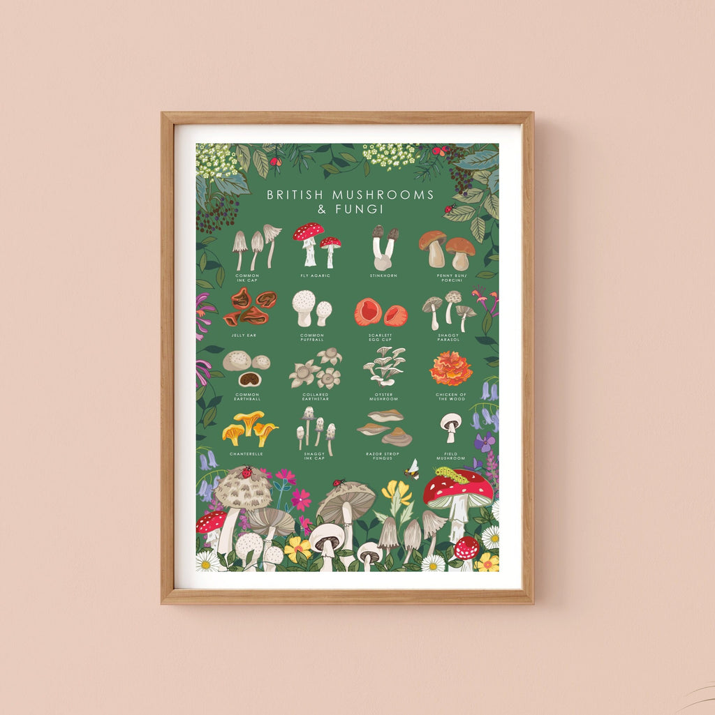 British Mushrooms and Fungi Nature Guide Wall Art Print