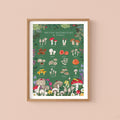 British Mushrooms and Fungi Nature Guide Wall Art Print