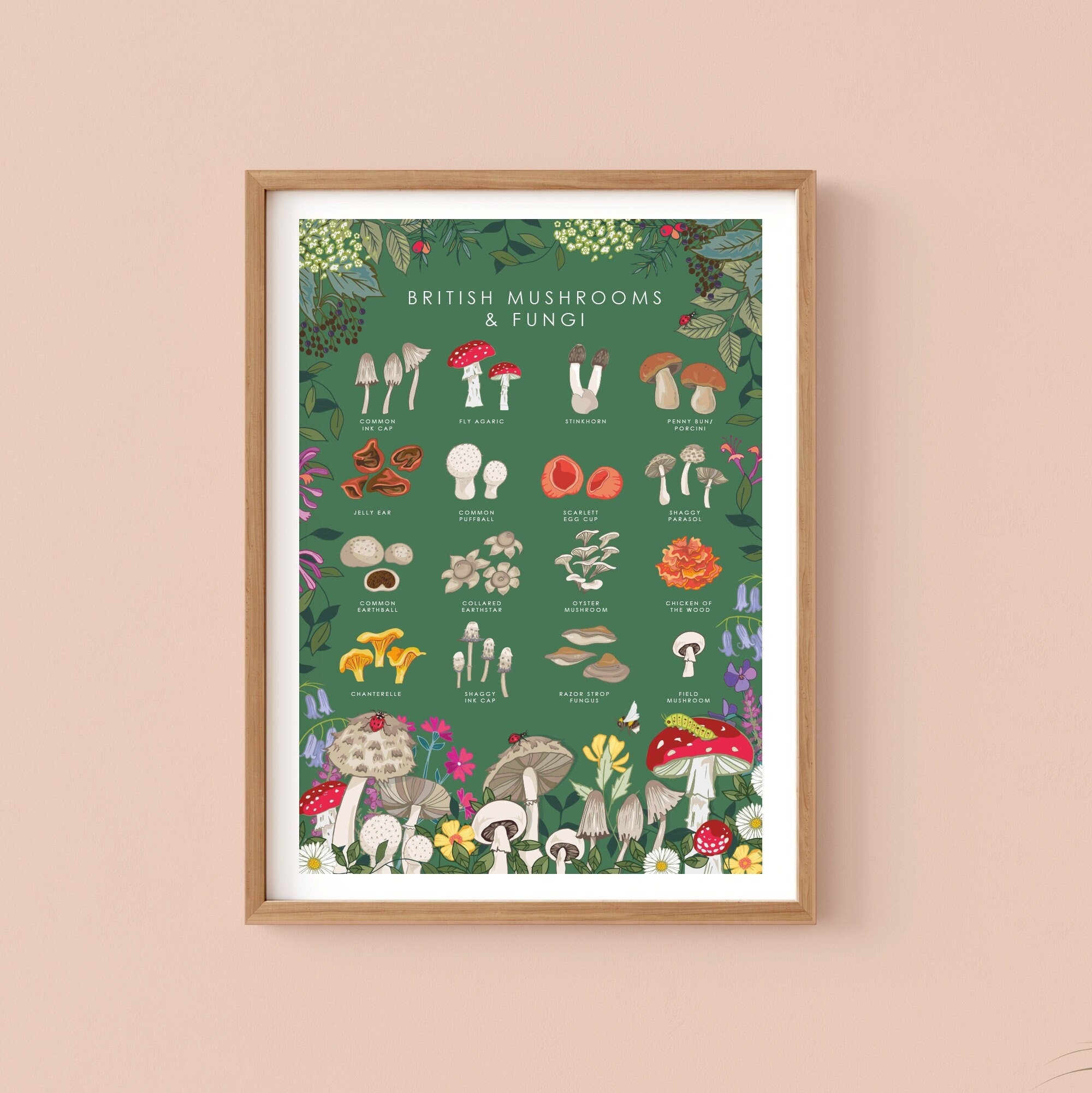 British Mushrooms and Fungi Nature Guide Wall Art Print