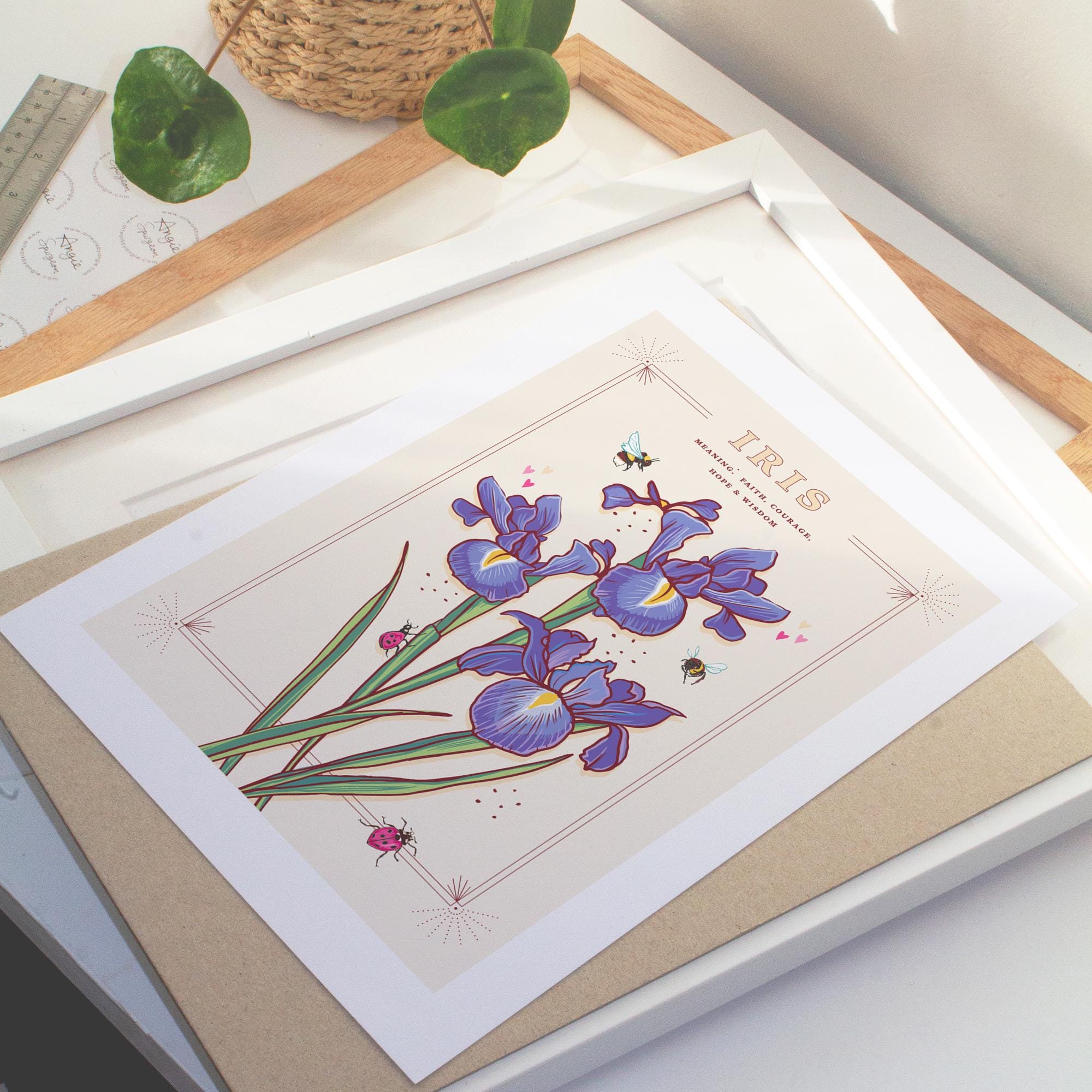 Iris Wall Art Print, Flower Meaning Illustration Print