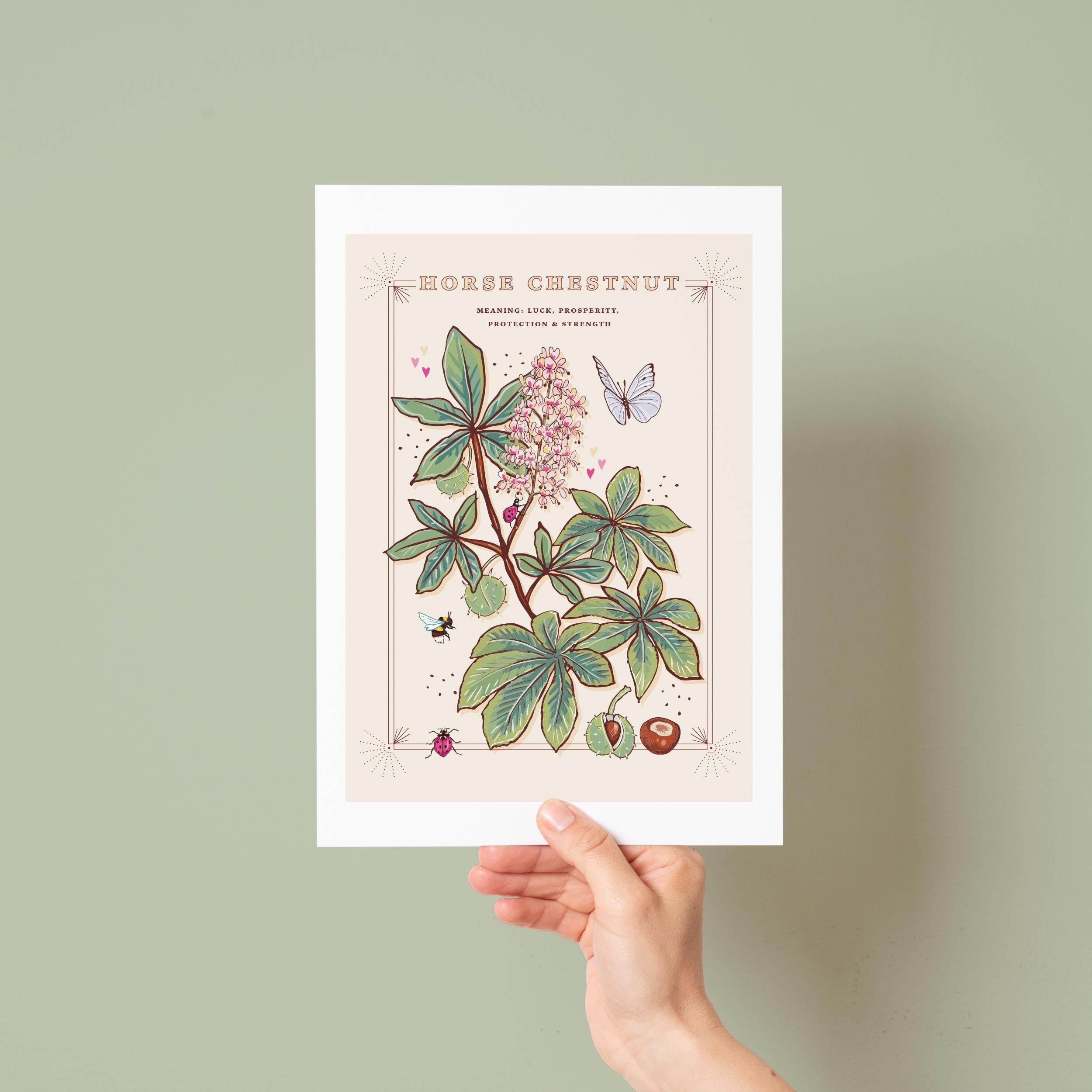 Horse Chestnut Tree Wall Art Print