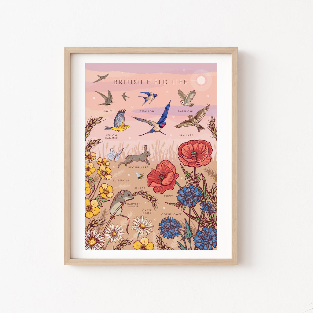 British Field Life Nature Guide Wall Art Print