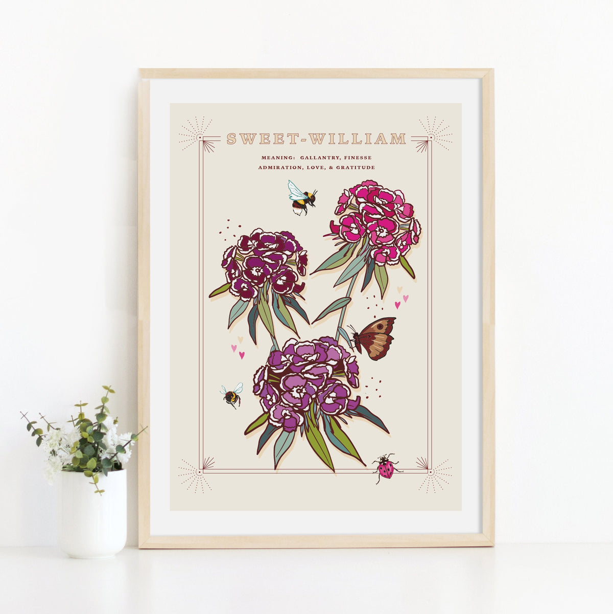 Sweet William Wall Art Print, Flower Meaning Illustration Print