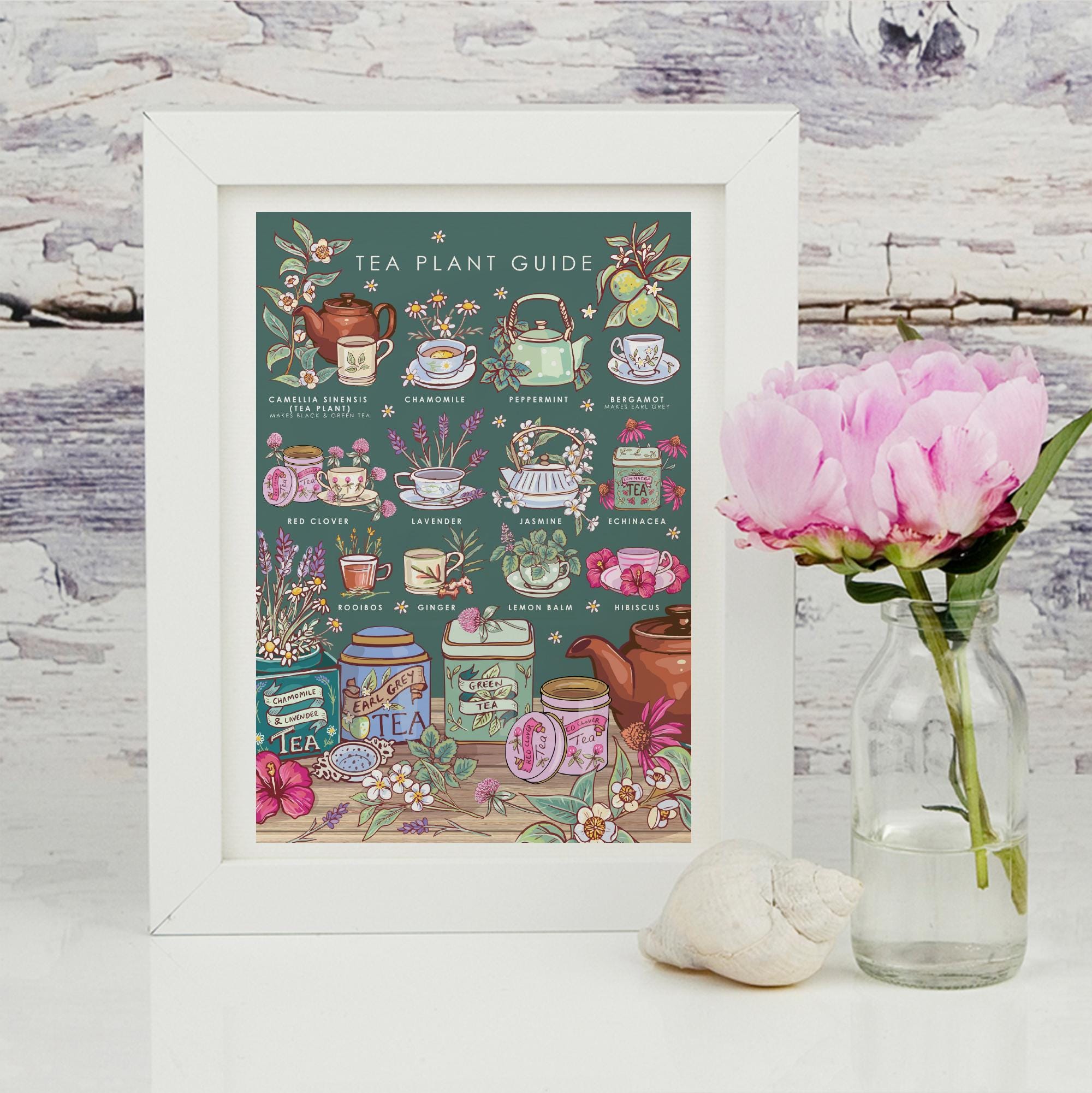 Tea Plants Nature Guide Wall Art Print