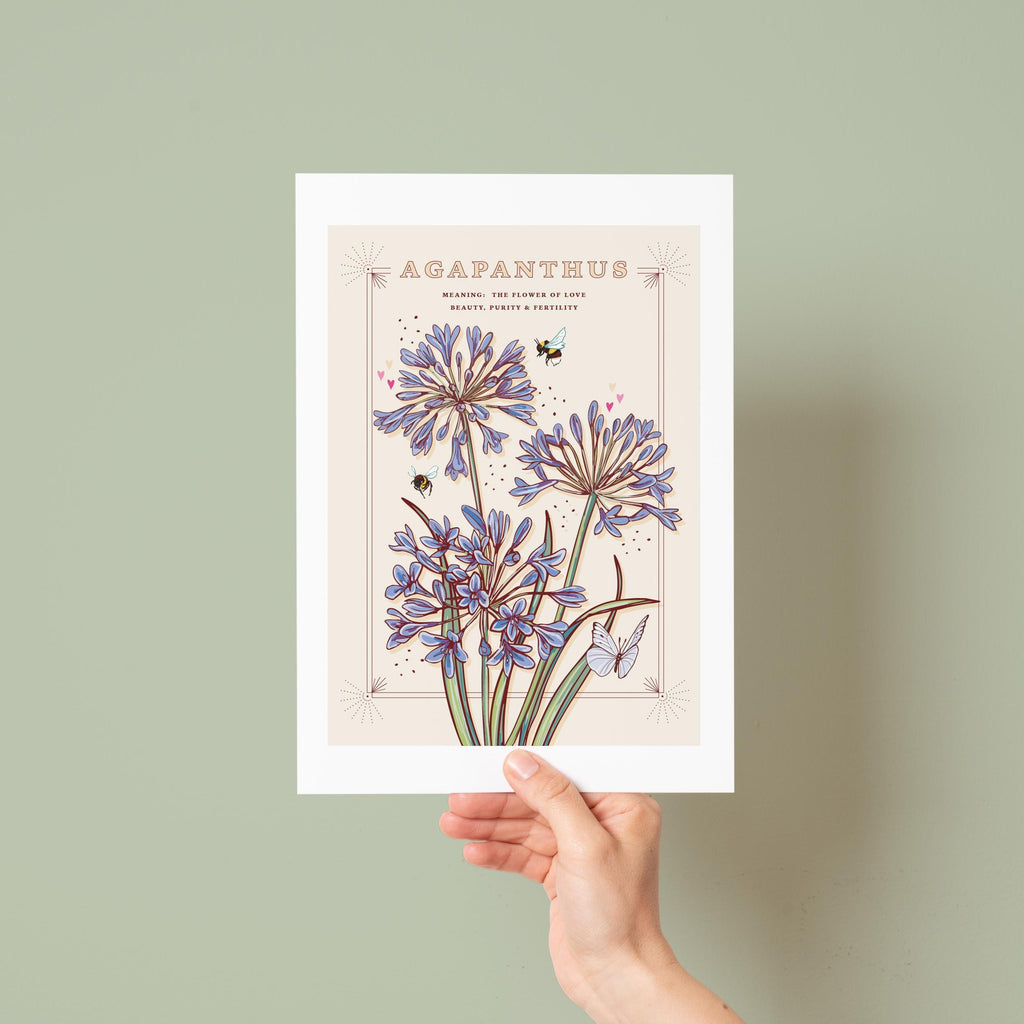 Agapanthus Wall Art Print, Flower Meaning Illustration Print