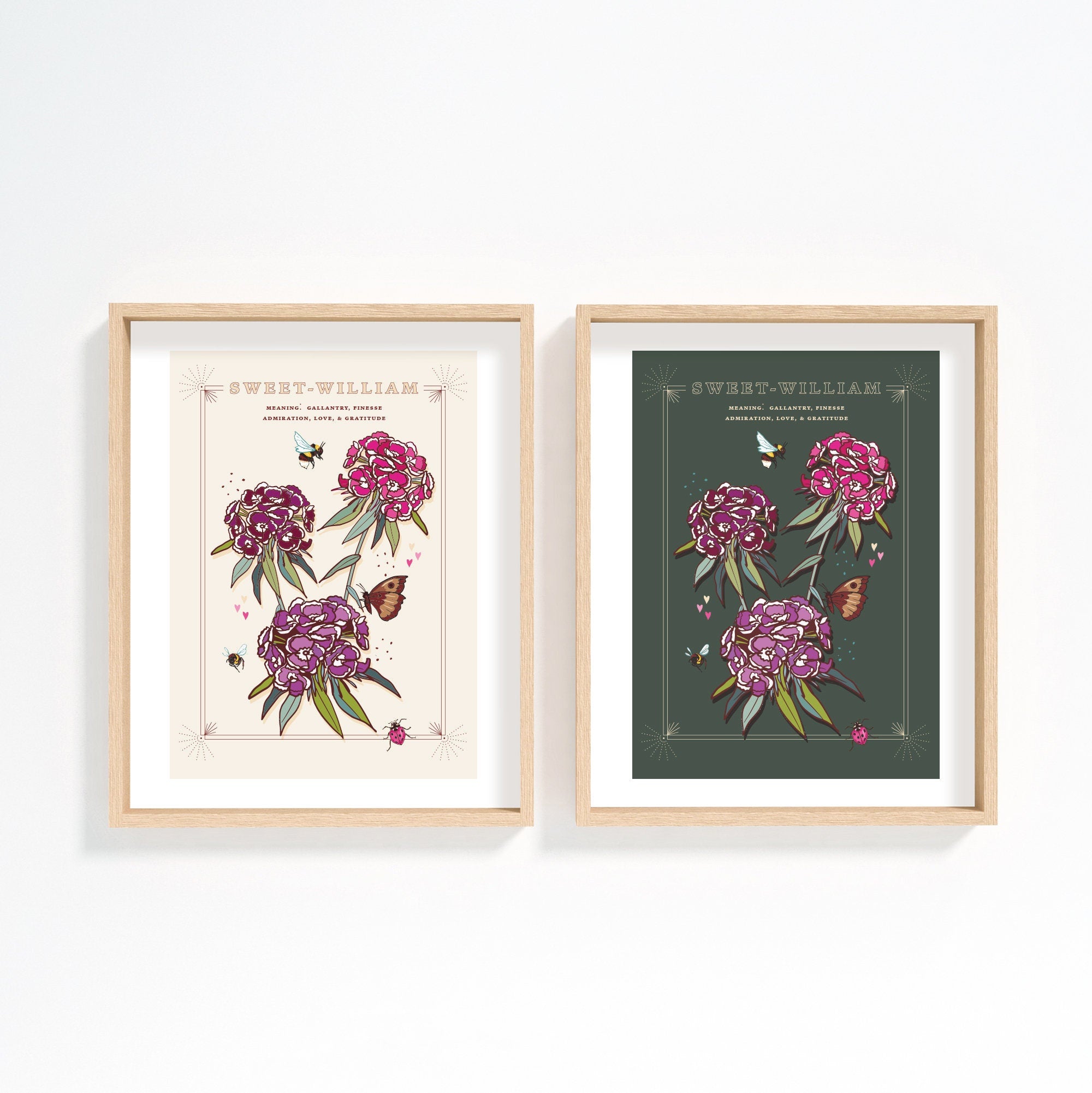 Sweet William Wall Art Print, Flower Meaning Illustration Print