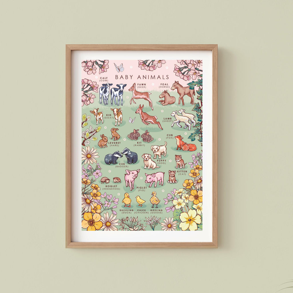 Baby Animals Nature Guide Wall Art Print