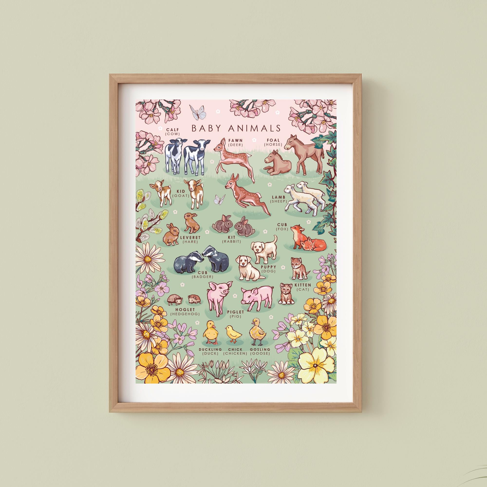 Baby Animals Nature Guide Wall Art Print