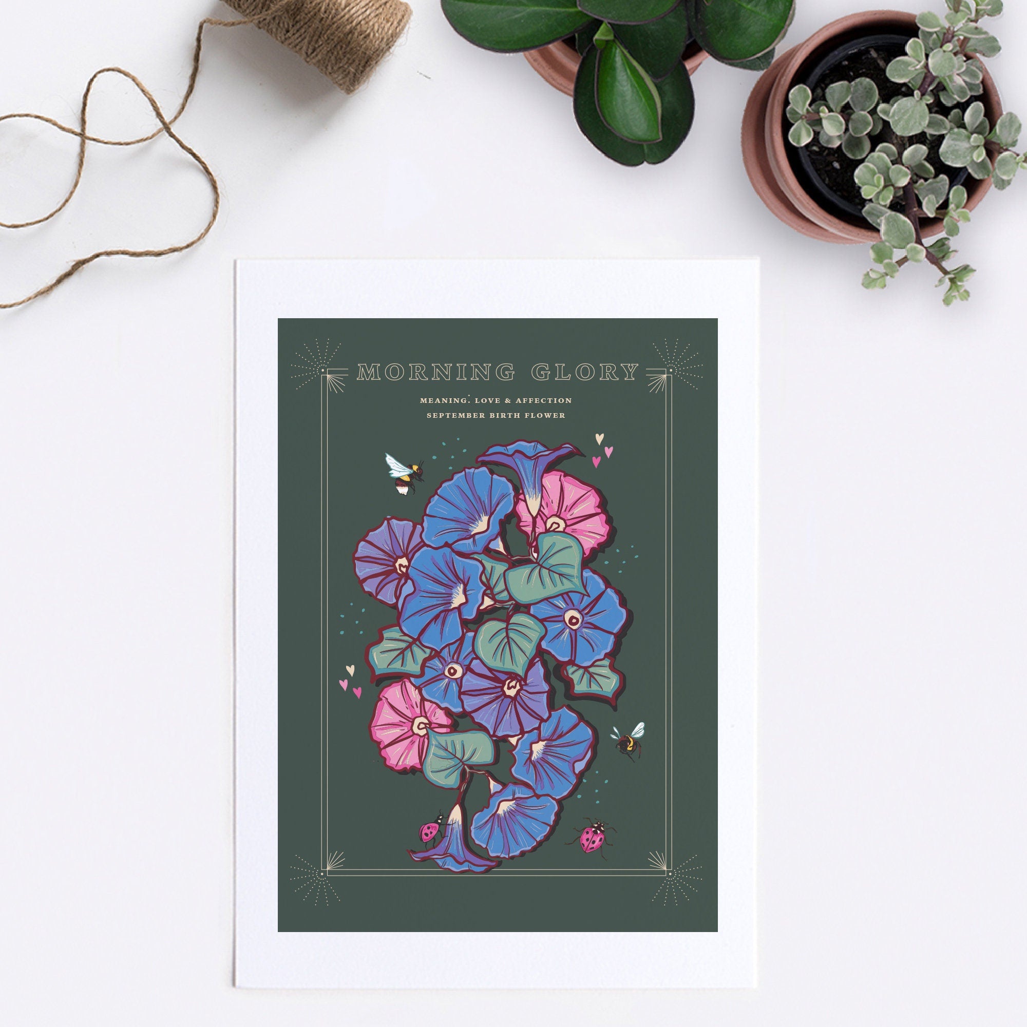 Morning Glory September Birth Flower Wall Art Print