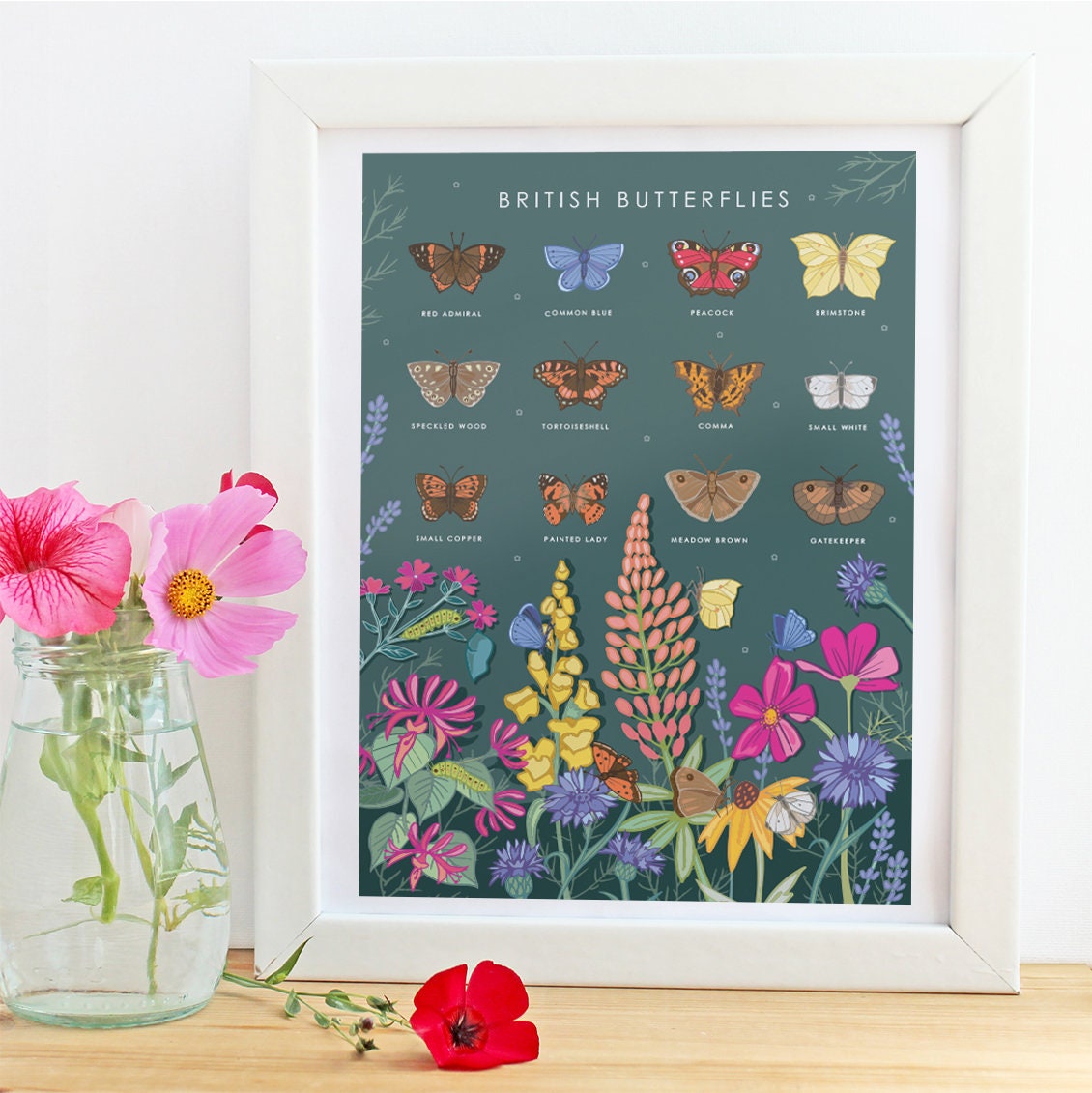 British Butterflies Nature Guide Wall Art Print