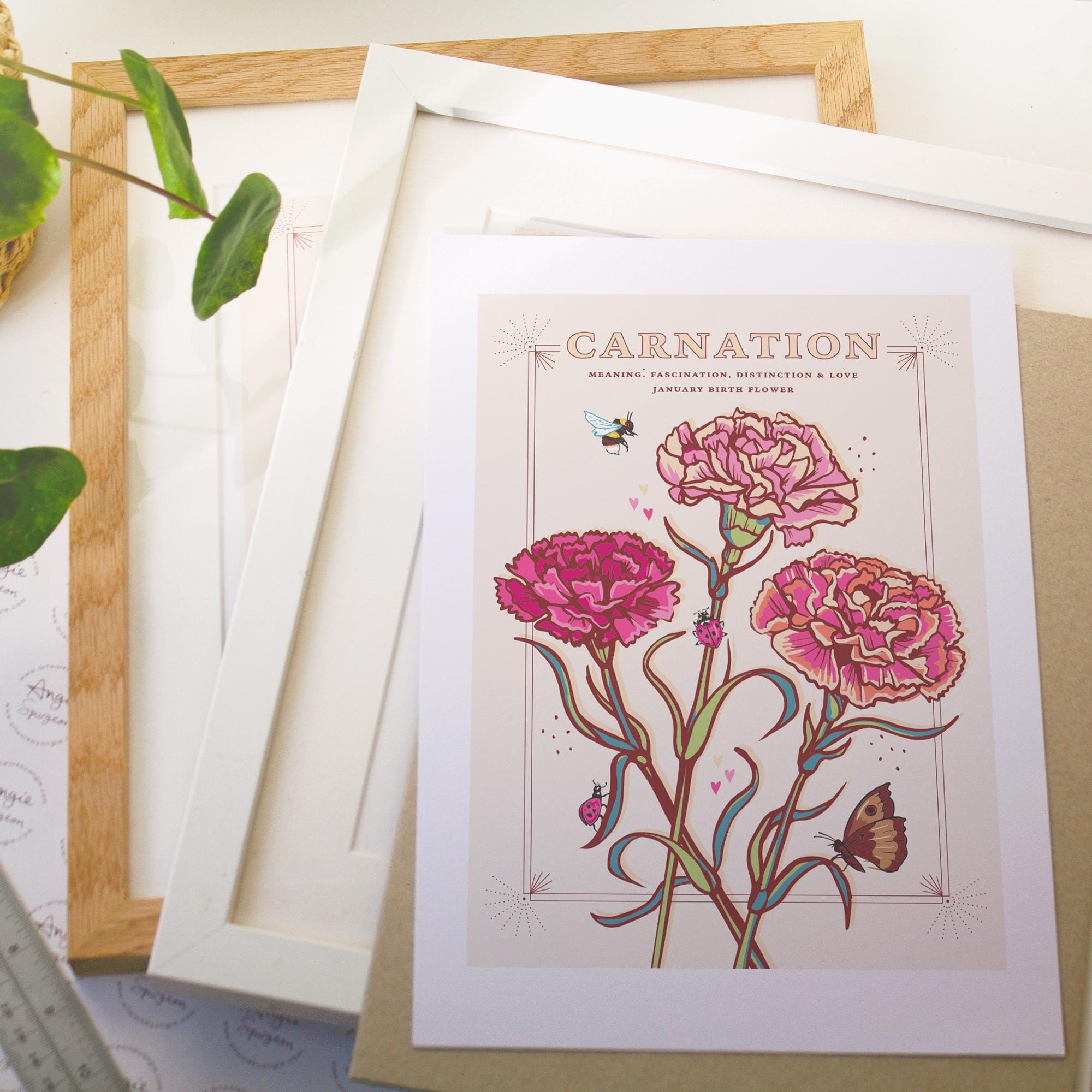 Carnations January Birth Flower Wall Art Print