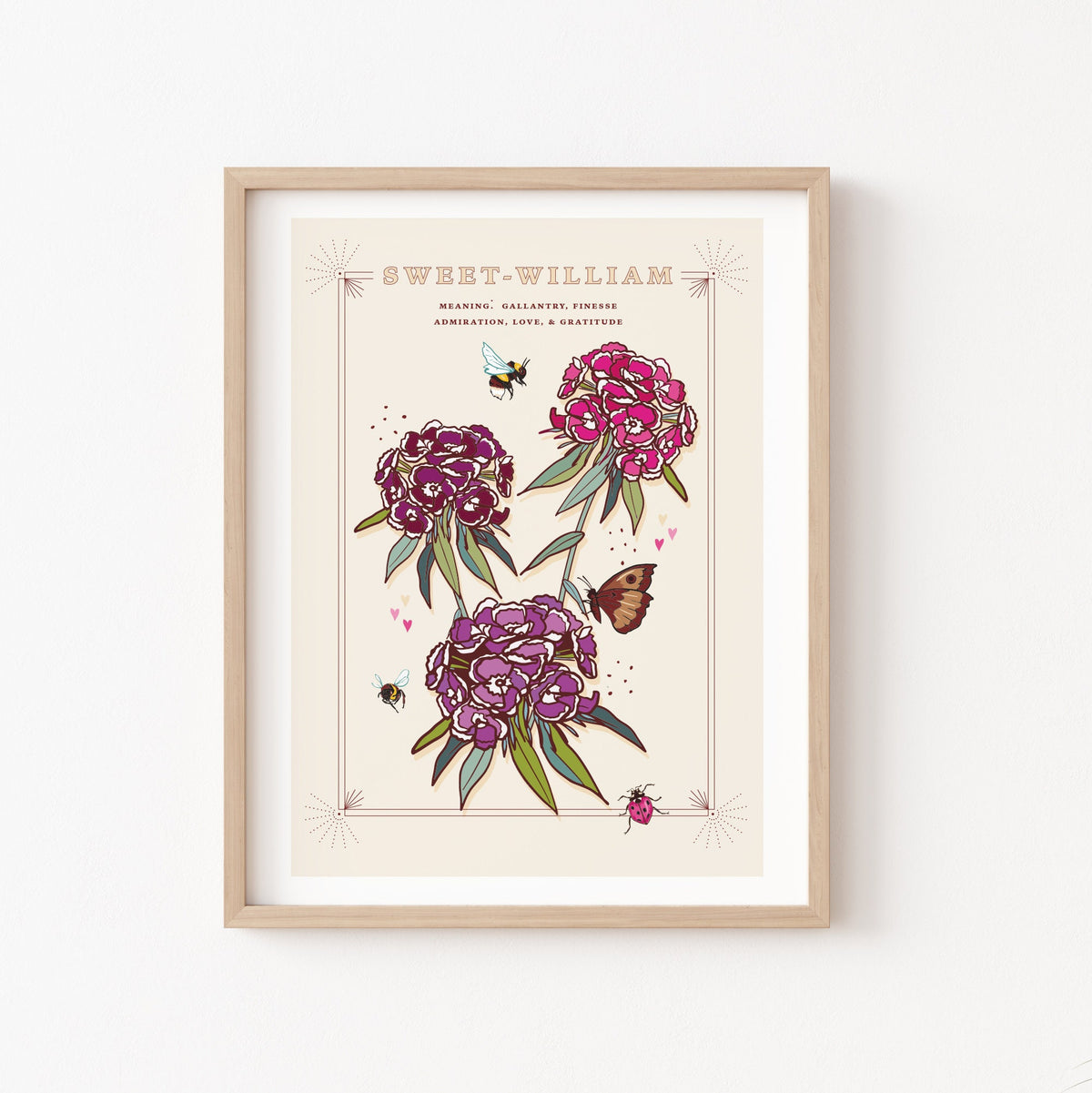 Sweet William Wall Art Print, Flower Meaning Illustration Print