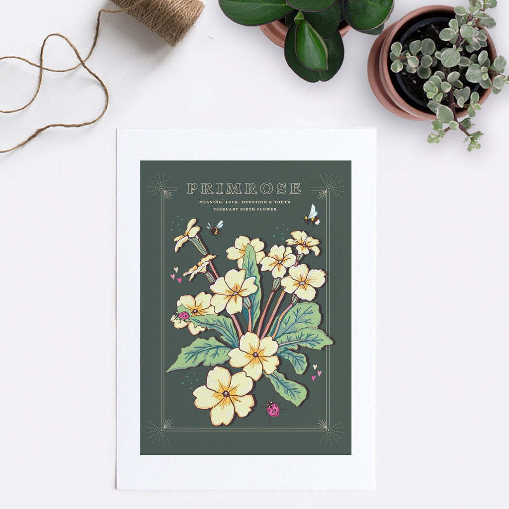 Primrose February Birth Flower Wall Art Print